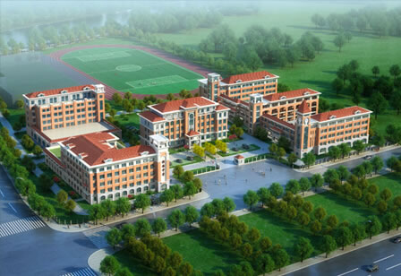 測試的案例信息，測試的案例信息